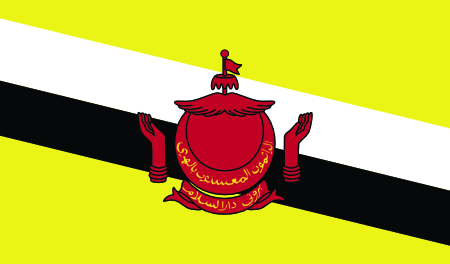 Flag of Brunei