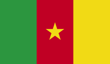 Flag of Cameroon